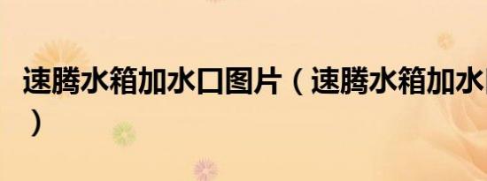 速腾水箱加水口图片（速腾水箱加水口在哪里）