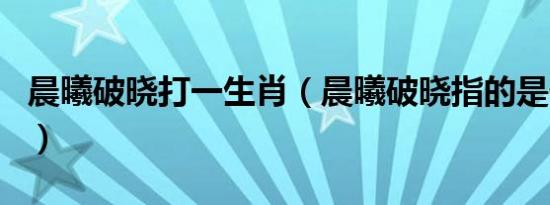 晨曦破晓打一生肖（晨曦破晓指的是什么生肖）