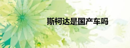 斯柯达是国产车吗