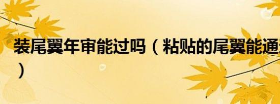 装尾翼年审能过吗（粘贴的尾翼能通过年审吗）