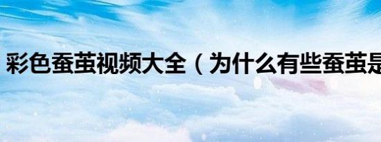 彩色蚕茧视频大全（为什么有些蚕茧是彩色）