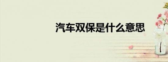汽车双保是什么意思