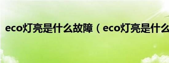 eco灯亮是什么故障（eco灯亮是什么意思）