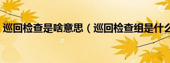 巡回检查是啥意思（巡回检查组是什么意思）