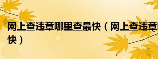 网上查违章哪里查最快（网上查违章哪里查最快）