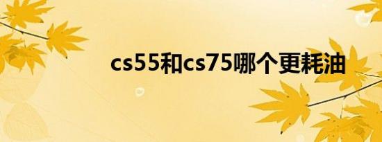 cs55和cs75哪个更耗油