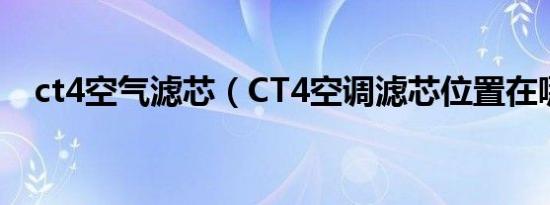 ct4空气滤芯（CT4空调滤芯位置在哪里）