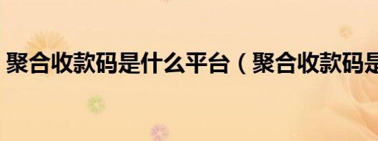 聚合收款码是什么平台（聚合收款码是什么）