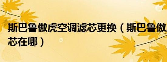 斯巴鲁傲虎空调滤芯更换（斯巴鲁傲虎空调滤芯在哪）