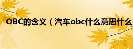 OBC的含义（汽车obc什么意思什么用途）