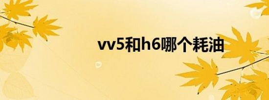 vv5和h6哪个耗油