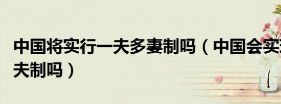 中国将实行一夫多妻制吗（中国会实现一妻二夫制吗）