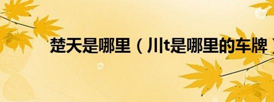 楚天是哪里（川t是哪里的车牌）