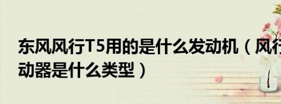东风风行T5用的是什么发动机（风行T5的制动器是什么类型）