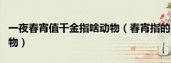 一夜春宵值千金指啥动物（春宵指的是什么动物）