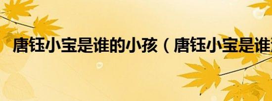 唐钰小宝是谁的小孩（唐钰小宝是谁演的）