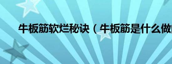 牛板筋软烂秘诀（牛板筋是什么做的）