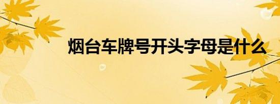 烟台车牌号开头字母是什么