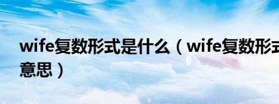 wife复数形式是什么（wife复数形式是什么意思）