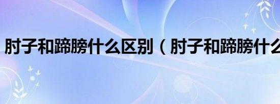 肘子和蹄膀什么区别（肘子和蹄膀什么区别）