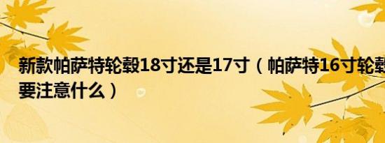 新款帕萨特轮毂18寸还是17寸（帕萨特16寸轮毂改18寸需要注意什么）