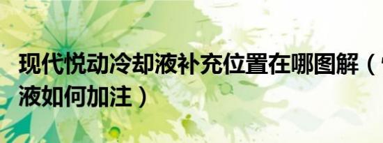 现代悦动冷却液补充位置在哪图解（悦动冷却液如何加注）