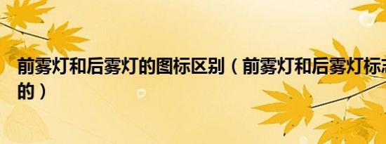 前雾灯和后雾灯的图标区别（前雾灯和后雾灯标志是什么样的）