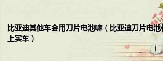 比亚迪其他车会用刀片电池嘛（比亚迪刀片电池什么时候用上实车）