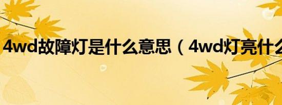 4wd故障灯是什么意思（4wd灯亮什么意思）