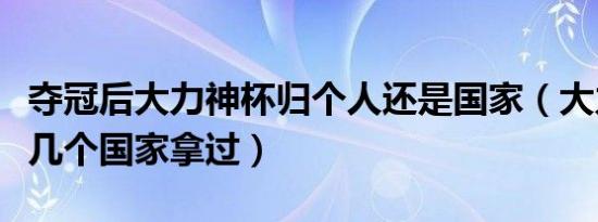 夺冠后大力神杯归个人还是国家（大力神杯有几个国家拿过）