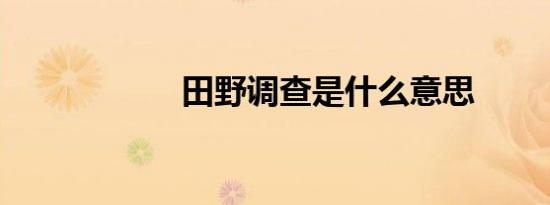 田野调查是什么意思