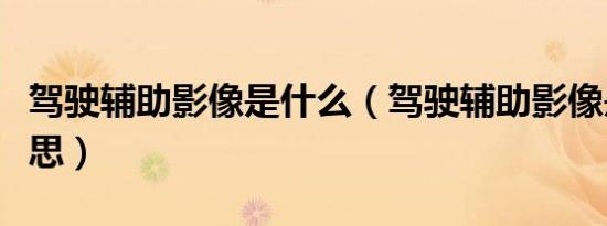 驾驶辅助影像是什么（驾驶辅助影像是什么意思）