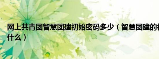 网上共青团智慧团建初始密码多少（智慧团建的初始密码是什么）