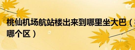 桃仙机场航站楼出来到哪里坐大巴（桃仙机场哪个区）