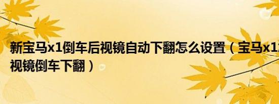 新宝马x1倒车后视镜自动下翻怎么设置（宝马x1怎么设置后视镜倒车下翻）