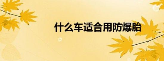 什么车适合用防爆胎