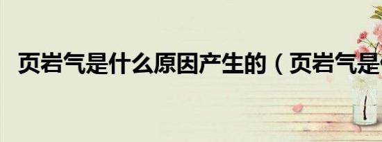 页岩气是什么原因产生的（页岩气是什么）