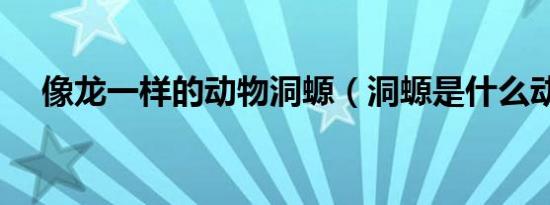 像龙一样的动物洞螈（洞螈是什么动物）