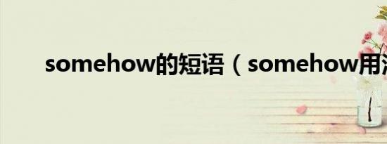 somehow的短语（somehow用法）