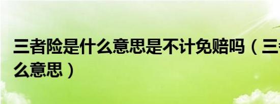 三者险是什么意思是不计免赔吗（三者险是什么意思）