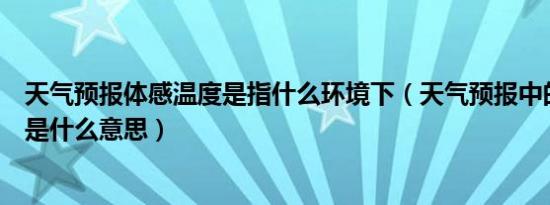 天气预报体感温度是指什么环境下（天气预报中的体感温度是什么意思）