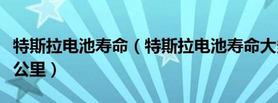 特斯拉电池寿命（特斯拉电池寿命大多数多少公里）