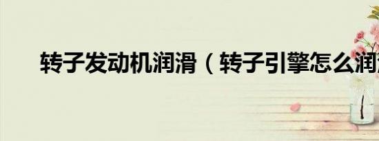 转子发动机润滑（转子引擎怎么润滑）