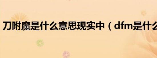 刀附魔是什么意思现实中（dfm是什么意思）