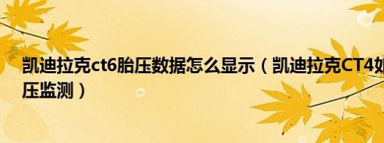 凯迪拉克ct6胎压数据怎么显示（凯迪拉克CT4如何查看胎压监测）