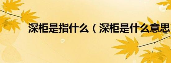 深柜是指什么（深柜是什么意思）