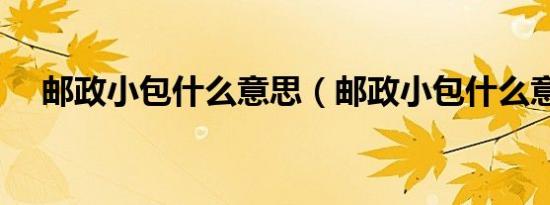 邮政小包什么意思（邮政小包什么意思）