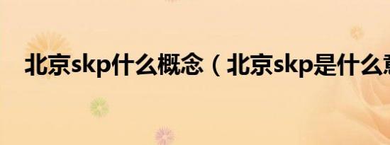 北京skp什么概念（北京skp是什么意思）