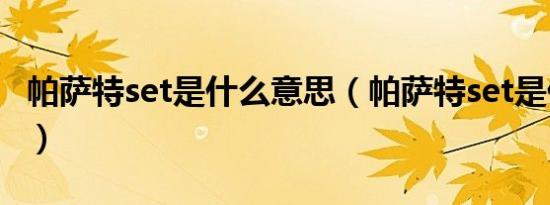 帕萨特set是什么意思（帕萨特set是什么意思）