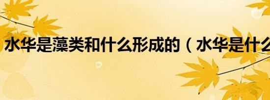 水华是藻类和什么形成的（水华是什么藻类）